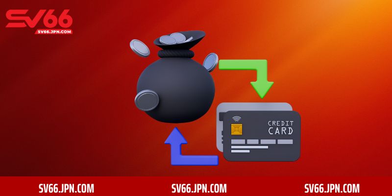 Khám Phá Thế Giới Đầy Màu Sắc Của Sv66 - Những Điều Chưa Biết